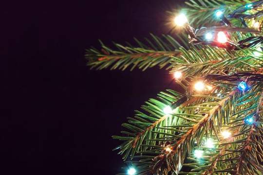 christmas creep slang definition